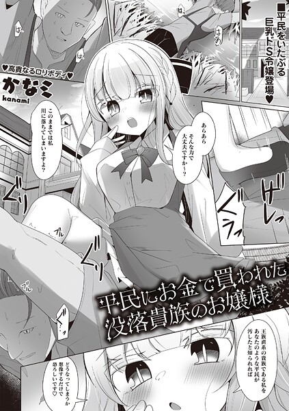 平民にお金で買われた没落貴族のお嬢様  エロ画像2291