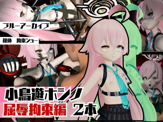 ブルーアーカイブの小鳥遊ホシノ生誕祭、誕生日ということで拘束調教動画2本セット！  エロ画像635173