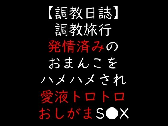 調教旅行  発情済みのおまんこをハメハメされ愛液トロトロおしがまS●X  エロ画像706425