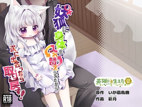 ♀妖狐に身体を入れ替えられたから次に出会ったら取り戻す！  エロ画像722017