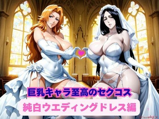 巨乳キャラ達による至高のセクコス、純白ウエディングドレス編  エロ画像728145