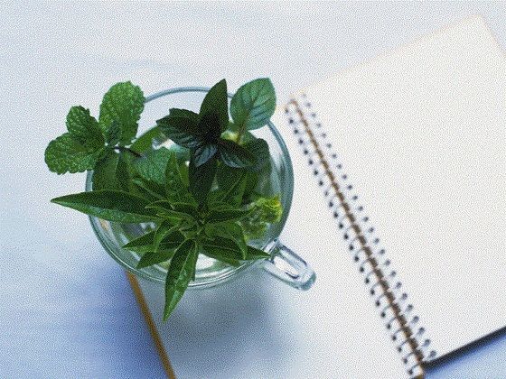 おむつ現役JK作家の最期  エロ画像728464