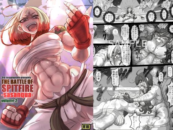 THE BATTLE OF SPITFIRE-sasanqua- volume2  エロ画像743157